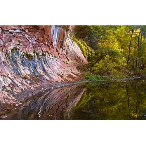 AZ, Sedona Cliff recflection along a creek